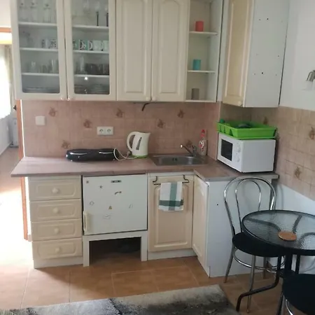 Gospodarstwo wiejskie Domcek Palecek *